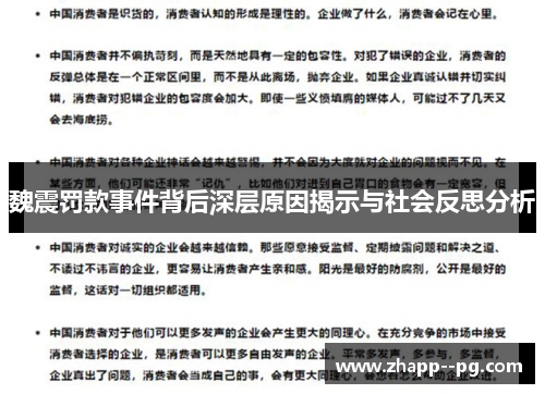 魏震罚款事件背后深层原因揭示与社会反思分析