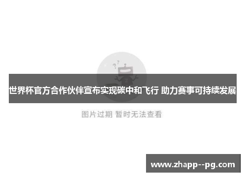 世界杯官方合作伙伴宣布实现碳中和飞行 助力赛事可持续发展